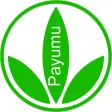 Payumu