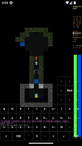 Zrzuty ekranu Dungeon Crawl Stone Soup