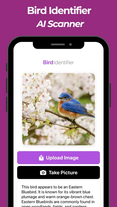 Bird Identifier & Bird AI Id Screenshots