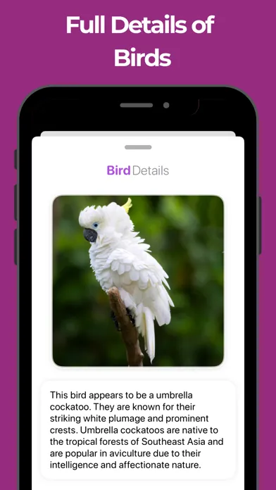 Bird Identifier & Bird AI Id Screenshots