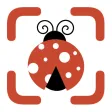 Bug Identifier & Insect Id