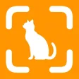 Cat Breed Identifier!