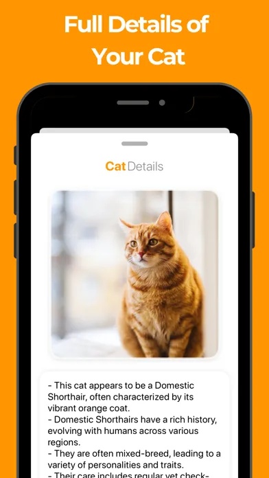 Cat Breed Identifier! スクリーンショット