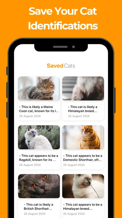 Cat Breed Identifier! スクリーンショット