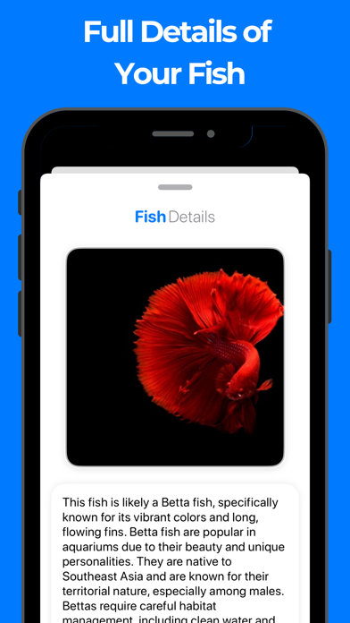 Fish Identifier & Fish Id Ekran Görüntüleri