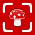 Mushroom Identifier: AI Id