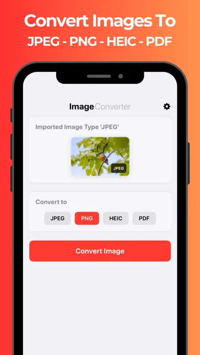 Ảnh chụp màn hình của Image Converter: JPEG PDF PNG