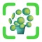 Plant Identifier & Flower Id