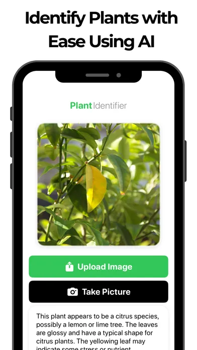 Скриншоты Plant Identifier & Flower Id