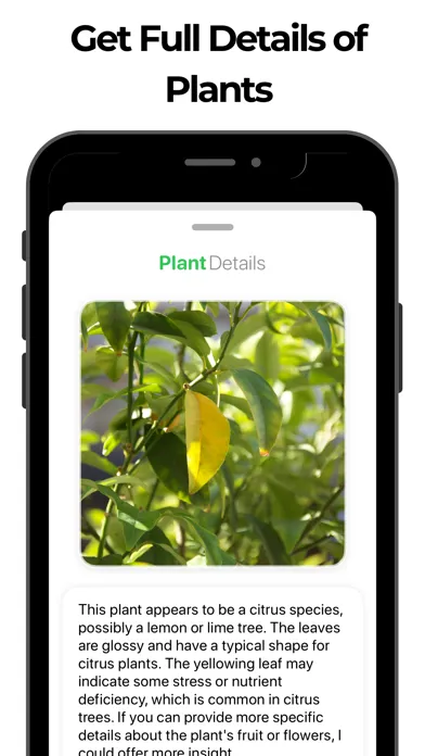 Скриншоты Plant Identifier & Flower Id