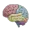 3D Brain