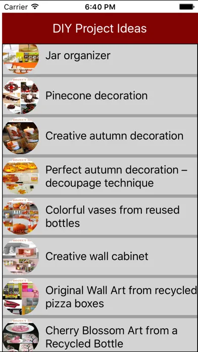 DIY Projects Ideas应用截图
