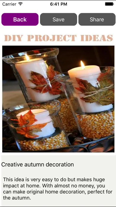 DIY Projects Ideas应用截图
