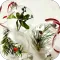 DIY Christmas Decorations
