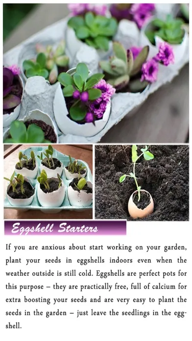 DIY Gardening Tips 스크린샷