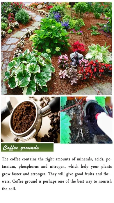 DIY Gardening Tips 스크린샷
