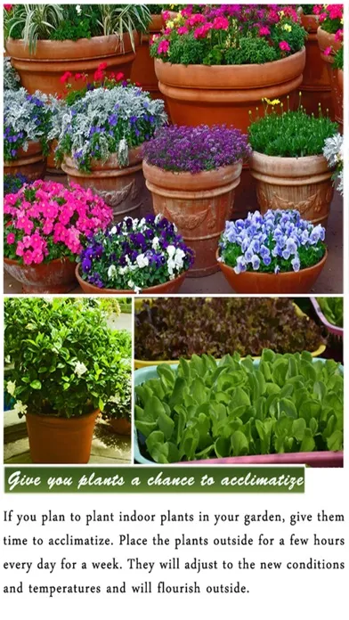 DIY Gardening Tips 스크린샷