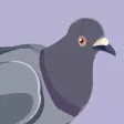 Trash Birds - Funny Realistic Pigeons