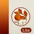 Lira Monete Repubblica - Lite Lira Monete Repubblica - Lite
