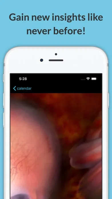 Capturas de tela do See Baby Pregnancy Guide