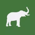 IEF - International Elephant Foundation