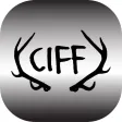 Camden International Film Fest