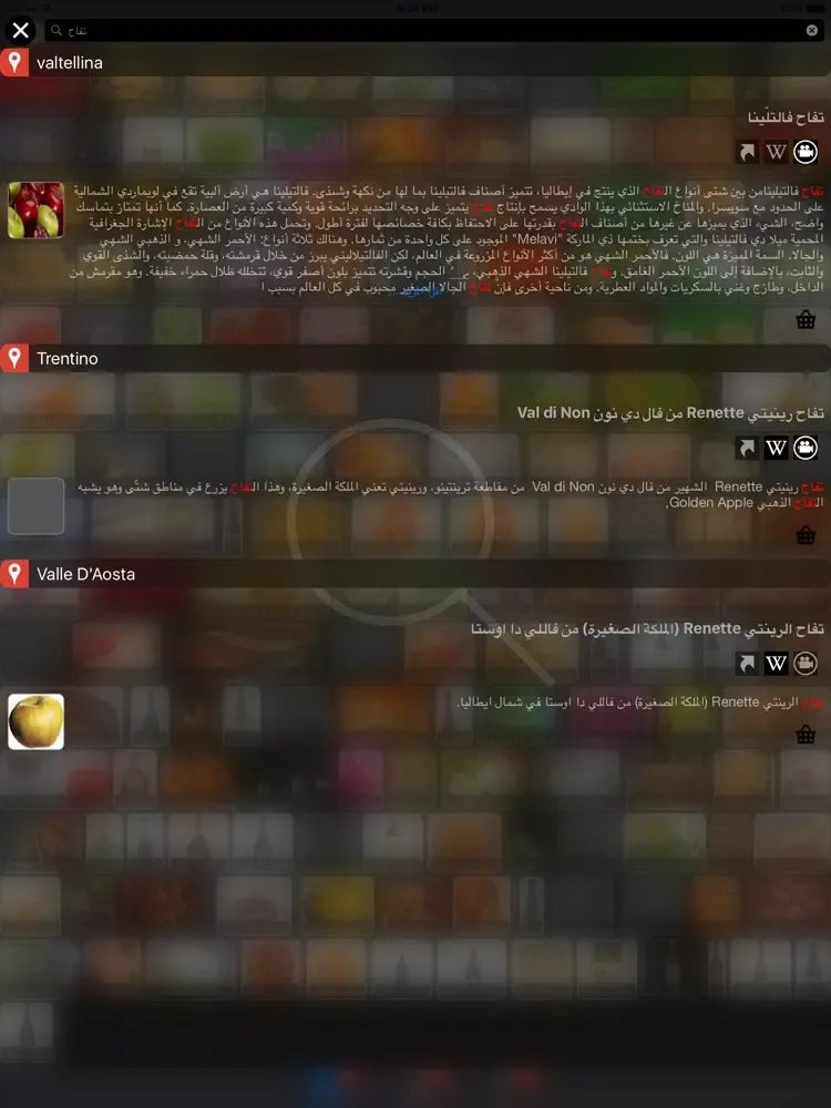 تصاویر Italian Cuisine المائدة الأيطالية iPad 