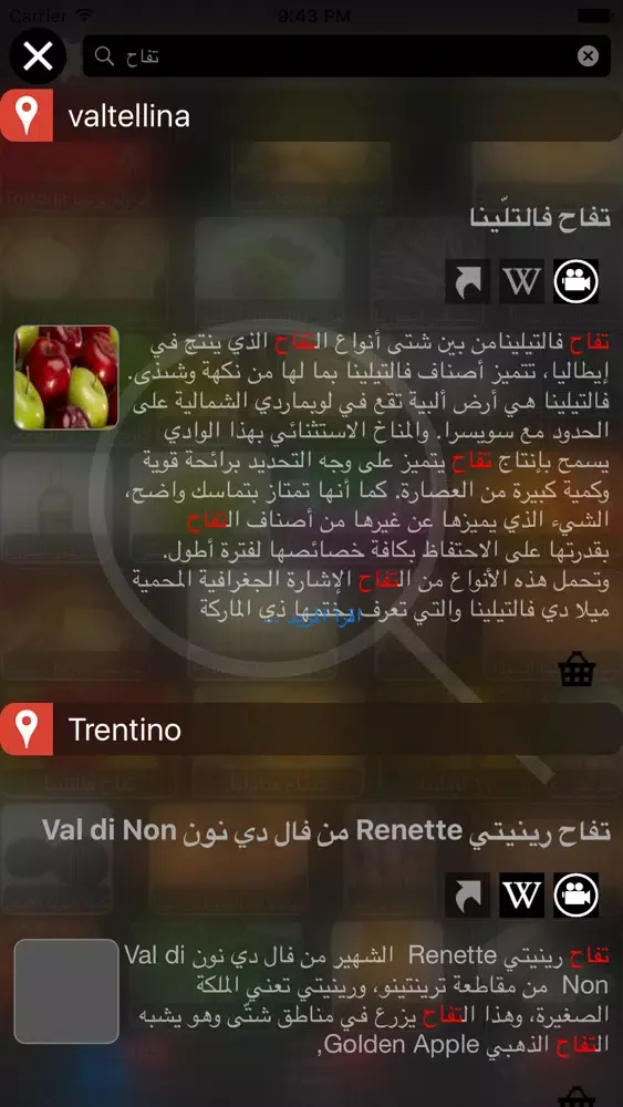 تصاویر Italian Cuisine المائدة الأيطالية