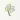 Family Tree
