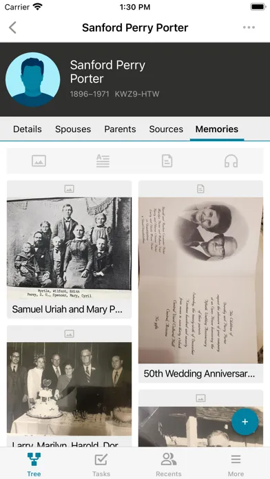 Zrzuty ekranu FamilySearch Tree