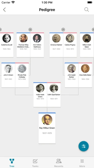 Zrzuty ekranu FamilySearch Tree