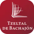 Tzeltal de Bachajón Bible