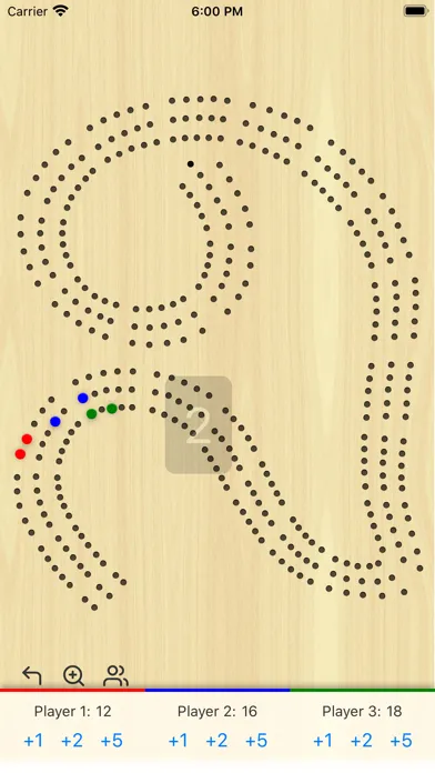 Ảnh chụp màn hình của Cribbage Board 29