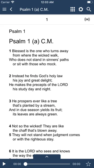 Screenshot di Sing Psalms