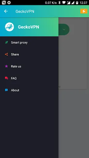 GeckoVPN Unlimited Proxy VPN应用截图