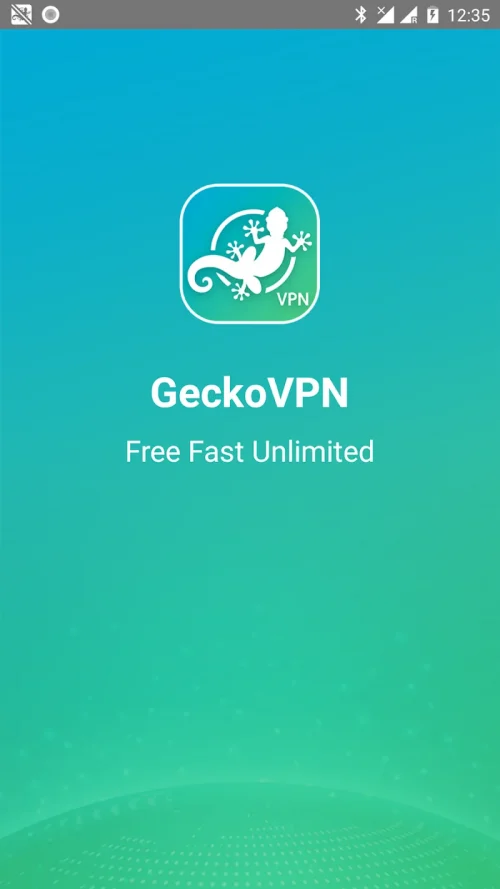 GeckoVPN-screenshot-1