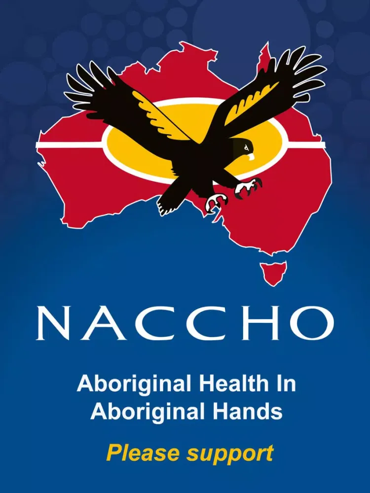 NACCHO : Aboriginal health in Aboriginal hands : Help, inform, connect, engage, share, contact, support or donate iPad  স্ক্রিনশট