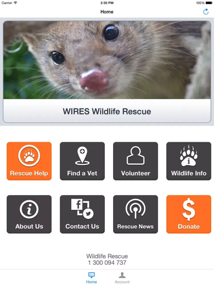 صور WIRES Wildlife Rescue App iPad 