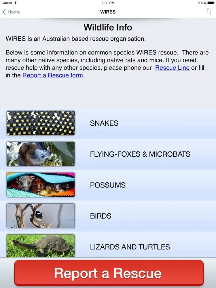 صور WIRES Wildlife Rescue App iPad 