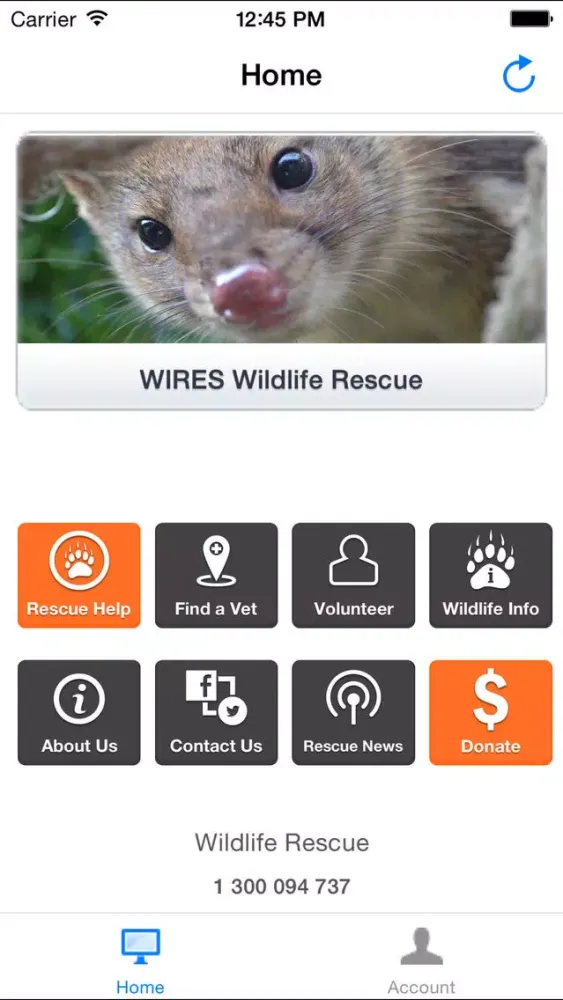صور WIRES Wildlife Rescue App
