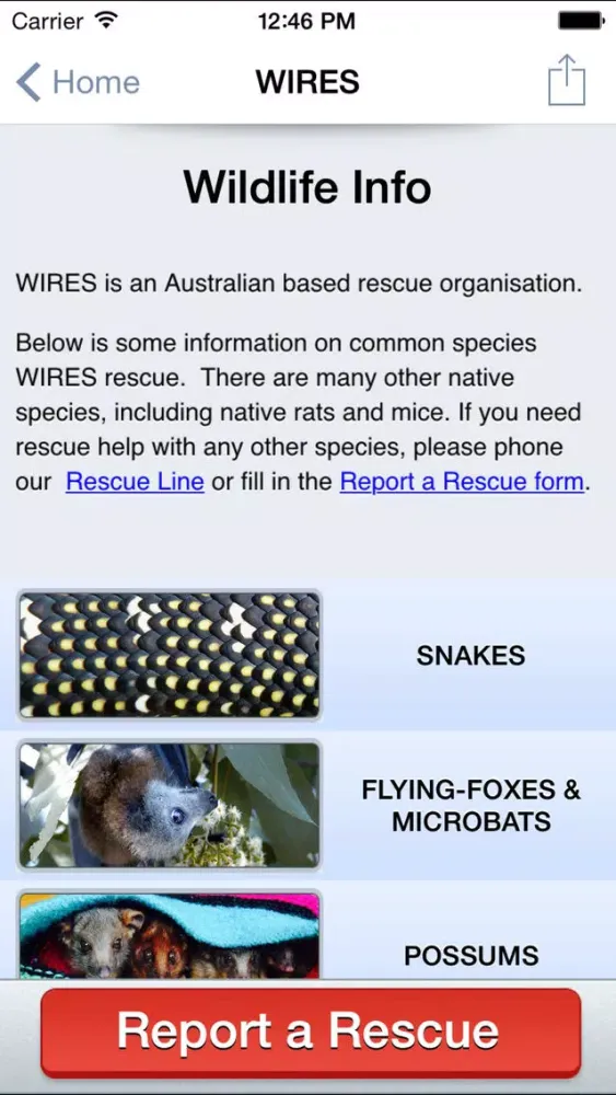 صور WIRES Wildlife Rescue App