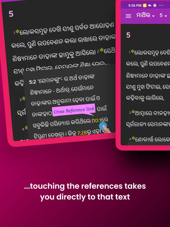 Captures d'écran de Oriya Study Bible iPad 