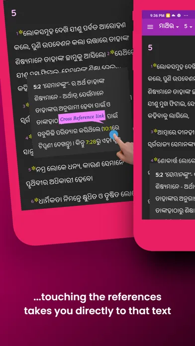 Captures d'écran de Oriya Study Bible