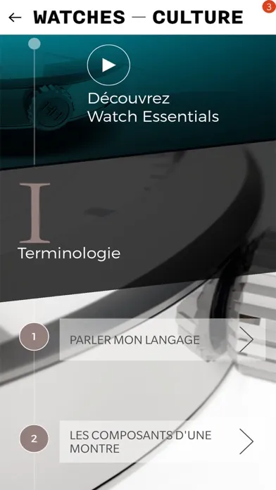 Tangkapan skrin Watch Essentials