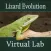 Lizard Evolution Virtual Lab
