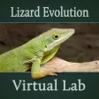 Lizard Evolution Virtual Lab Lizard Evolution Virtual Lab