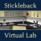 Stickleback Evolution Lab