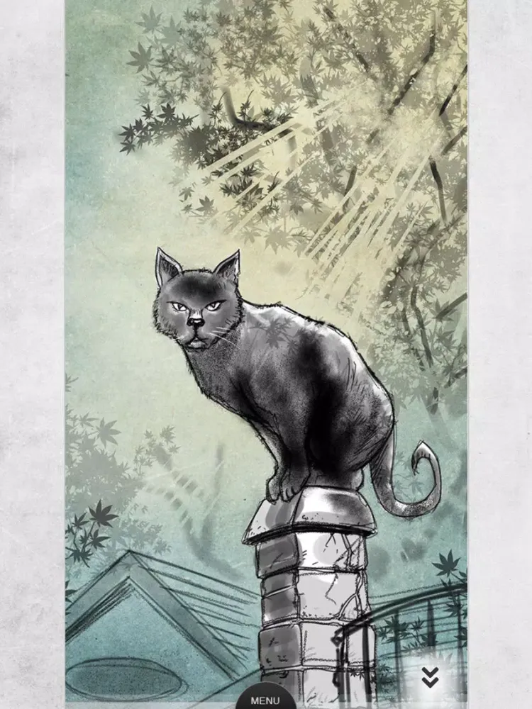 Capturas de pantalla de HOAX Our Right to Hope iPad 