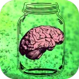 Big Brains in Little Jars