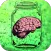 Big Brains in Little Jars